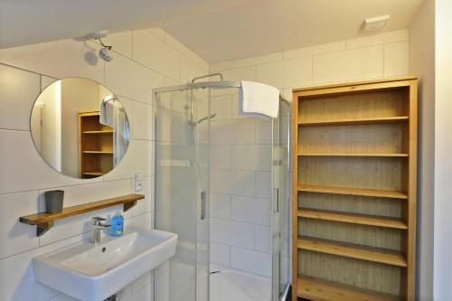 ein Bad mit einem Waschbecken und einer Dusche in der Unterkunft Pension Aspen in Železná Ruda