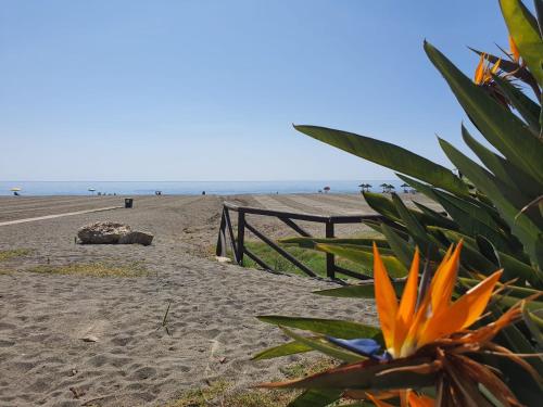 Boutique apartment near the beach, 1 Gbps Wi-Fi photo 51