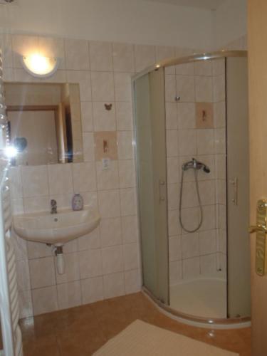 a bathroom with a shower and a sink at Apartmán v Ladově kraji in Ondřejov
