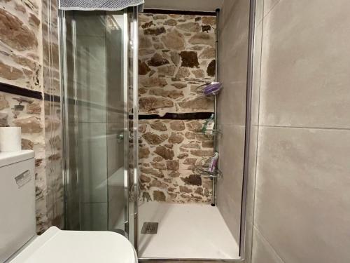 a shower in a bathroom with a stone wall at Elia & Meli Studio in Kallirákhi