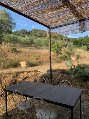 Operaviva – Photos 3