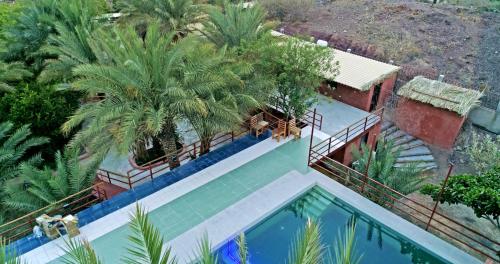 哈達的住宿－Hatta Art Hub Farm，享有棕榈树游泳池的顶部景致