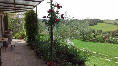 a garden with roses and plants and a patio at Casa Crevole in Palazzina