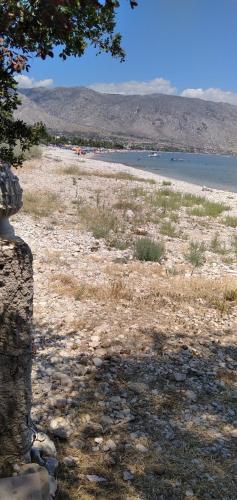 a view of a beach with a body of water at Geranium Villa by the sea in Kineta