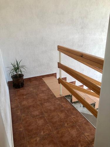 a stairway with a bench and a potted plant at Centre apartment in Prilep