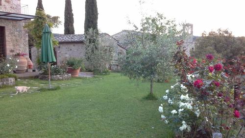 a garden with an umbrella and a dog in the yard at Casa Crevole in Palazzina