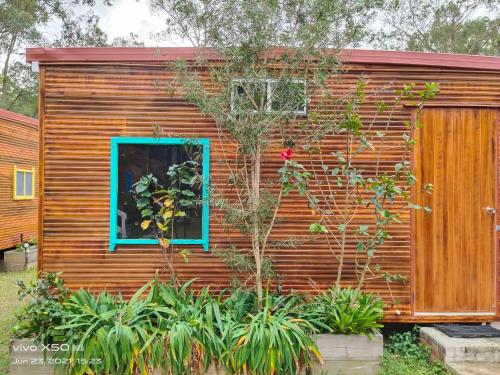 a wooden house with a window and some plants at Springwood Meditation Centre 春木禪修渡假中心 in Springwood