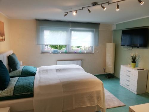 Schlafzimmer mit einem Bett, einem TV und einem Fenster in der Unterkunft Maison Madlene in Frickenhausen