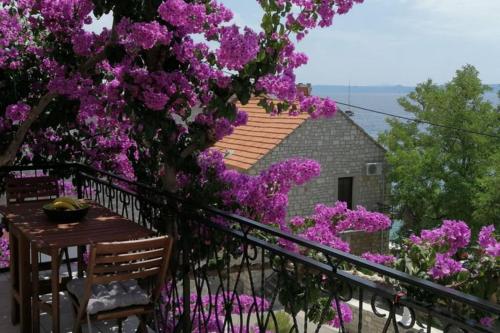 Summer dreams in Bol