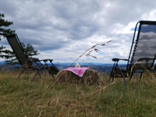 a group of chairs sitting in a field at Miliceva ruza in Zlatibor