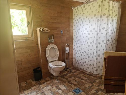 bagno con servizi igienici e finestra. di Miliceva ruza a Zlatibor