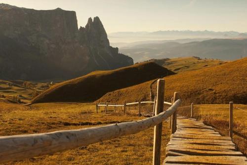 a wooden path on a hill with a mountain in the background at Mysciliar Apartment Tree ii in Siusi