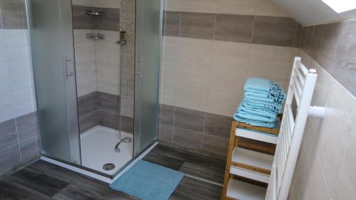 uma casa de banho com um chuveiro e toalhas azuis numa escada em Apartmány u Mlýna em Velké Losiny