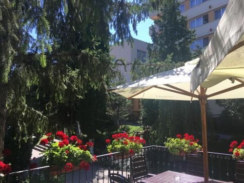 Hotel Germisara – Photos 2