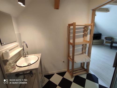 ein Badezimmer mit einem Waschbecken und einem Regal neben einem Spiegel in der Unterkunft Gosciniec Wydminy in Wydminy