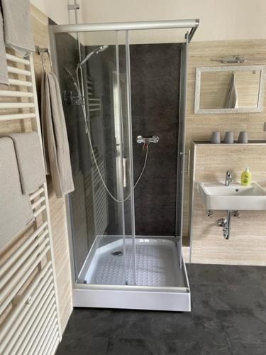 a bathroom with a shower and a sink at Ferienhaus nähe Bad-Gandersheim mit 5 Schlafzimmer in Winzenburg
