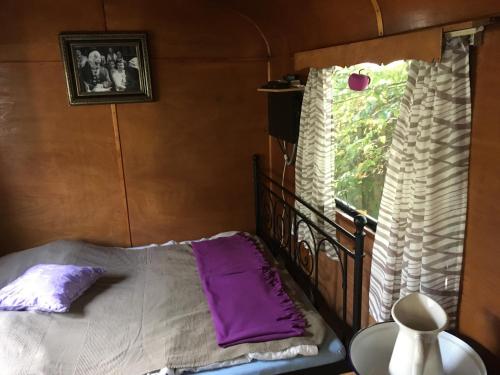 a bedroom with a bed with purple pillows and a window at Bauwagen für 4 Pers. in Kasnevitz