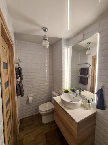 a bathroom with a sink and a toilet and a mirror at Old Town Vytautas Apartment in Klaipėda