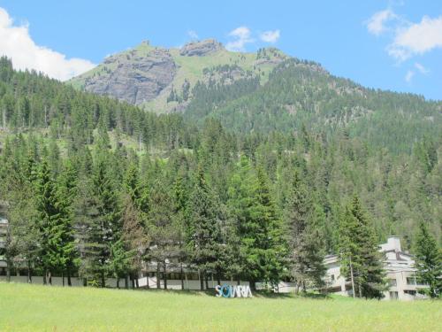 CampestrinにあるApartment Solaria by Interhomeの木々の山
