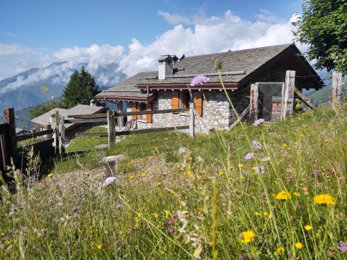 une maison sur une colline avec un champ de fleurs dans l'établissement Holiday Home Il Nido d'Aquila - GRV635 by Interhome, à Livo