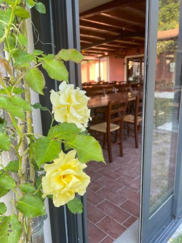 a plant with yellow roses growing on the side of a building at Agriturismo La Vita è Bella in Fabriano