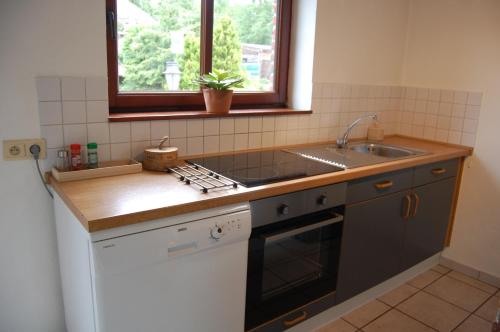 eine Küche mit einer Spüle und einer Arbeitsplatte in der Unterkunft Appartement Fleurs des champs - Esc'Appart in Rochefort