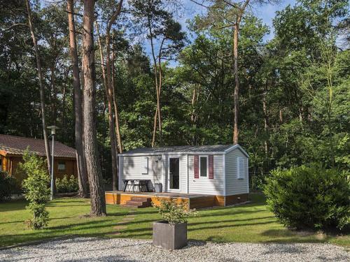 a tiny house in the middle of a yard at Holiday Home De Brenkberg-1 by Interhome in Schinveld