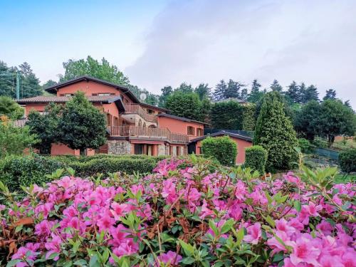 a garden with pink flowers in front of a house at Apartment Residenza Agrifoglio-7 by Interhome in Luino