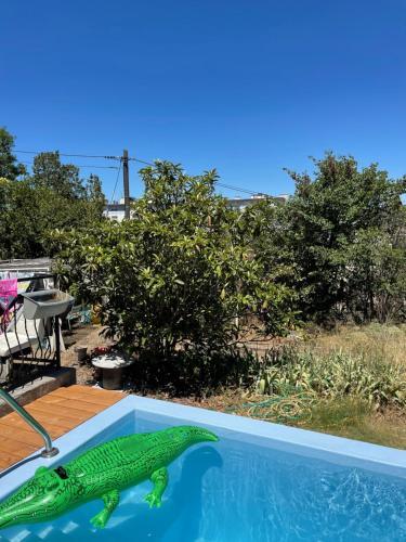 a toy crocodile sitting in a swimming pool at Les milles feuilles in Marseille