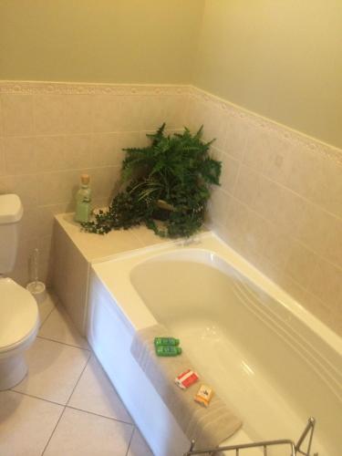 Un baño de Dominion Hotel