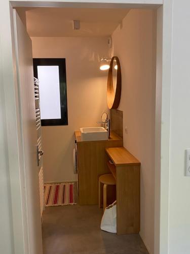 une petite salle de bain avec un lavabo et un miroir dans l'établissement STUDIO in res. LES CYCLISTES, à Malaucène