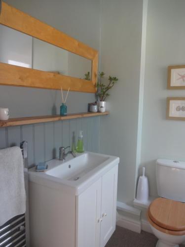 uma casa de banho com um lavatório branco e um WC. em Rowan Cottage em Ottringham