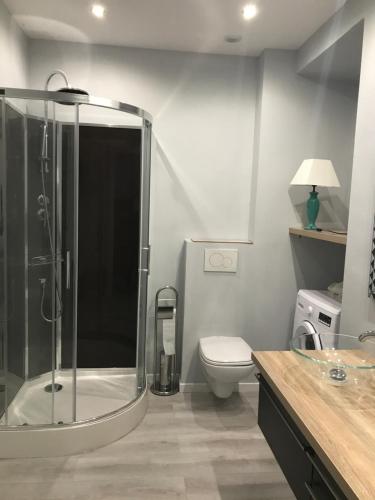 une salle de bain avec douche et toilettes dans l'établissement Appartement Terrasse dans Palace Centre ville, à Menton