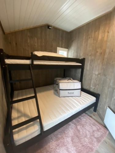 a couple of bunk beds in a room at Villa Solsiden Geilo in Geilo