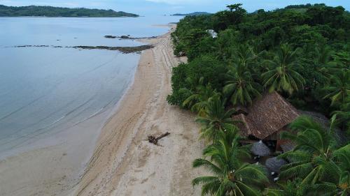 an aerial view of a beach with palm trees at Sambatra Bed and Breakfast in Ambaro