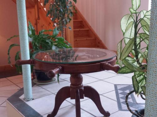 uma mesa de madeira com uma tampa de vidro numa sala com plantas em Seashells B&B em Duncannon