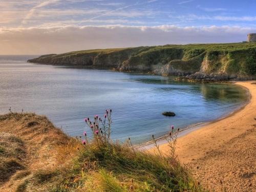 a sandy beach with a view of the ocean at Seashells B&B in Duncannon