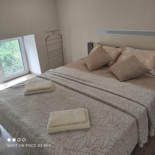 ein Schlafzimmer mit einem großen Bett mit zwei Kissen darauf in der Unterkunft Атмосферная квартира в центре in Odessa