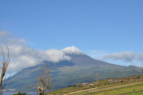 Gallery image of Casa da Abrótea in Lajes do Pico