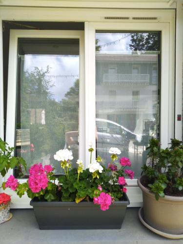 twee ramen met bloempotten voor hen bij Séjour chaleureux chambre chez l habitant in Torpes
