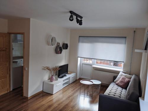a living room with a couch and a television at Niedru apartamenti in Liepāja
