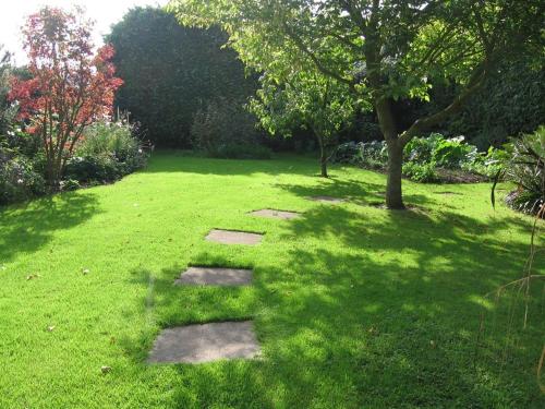 a grassy area with a bench and a tree at Steps Farmhouse B&B in Minehead