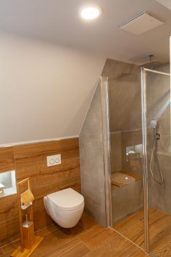 a bathroom with a toilet and a shower at Naturhotel Gasthof Bärenfels in Kurort Altenberg