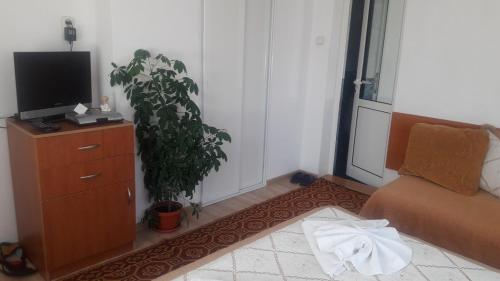 een woonkamer met een bank en een tv op een dressoir bij Guest House Stoletnika in Yagodina
