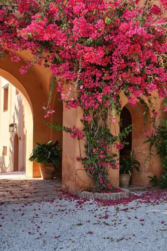 Soho Boutique Castillo de Santa Catalina - Adults Recommended photo 85
