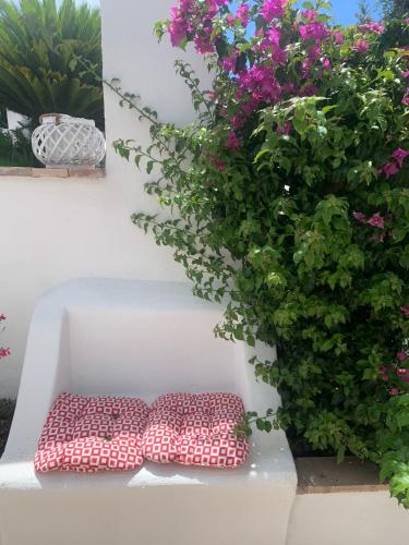 Κήπος έξω από το B&B "i Magi"