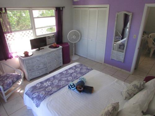a bedroom with a large bed and a mirror at Da Sugar House in Georgetown