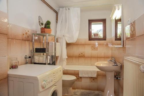 a bathroom with a washing machine and a sink at Počitniška hiša Pri Goričarju in Bohinjska Bistrica