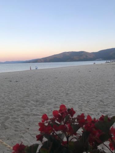 un ramo de flores rojas en una playa de arena en Makedos Sea View, en Nea Vrasna