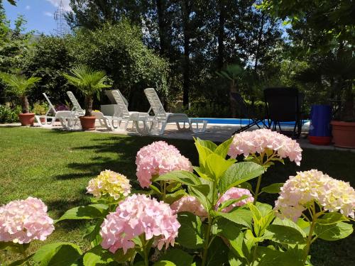 a group of chairs and flowers next to a pool at Apartman Natura vita Blagaj in Blagaj